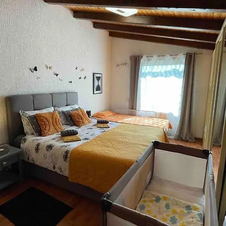 Lux Barbara * بوريتش